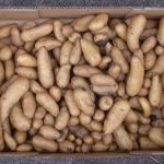 Anger: Cooking our Potatoes