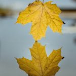 Listening to the inner silence